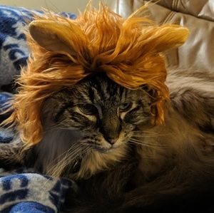 Meet your Posher, Marissa